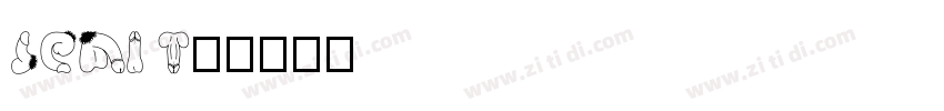 SEMI T5字体转换
